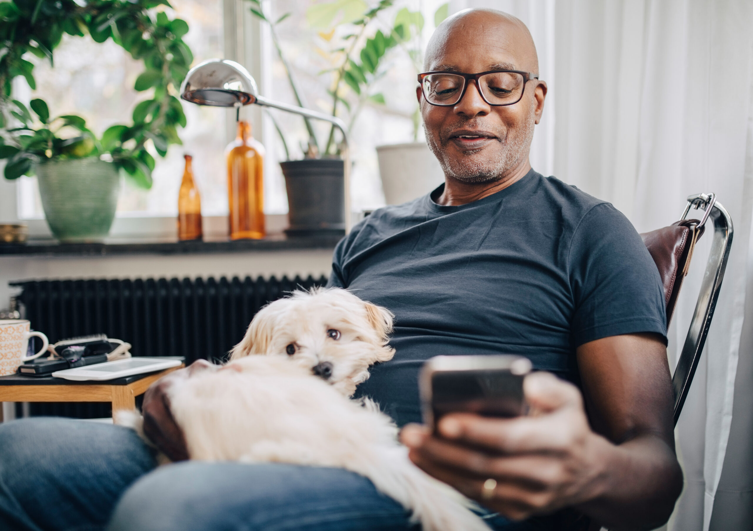 Photo of a senior male using his Apple Messages app while sitting with dog in room at home.