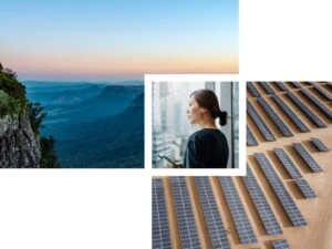 A forested valley at sunset with shadowed ridges on the horizon. A woman holds a cellphone and looks out of an office window. An overhead view of a large solar panel array in the desert.