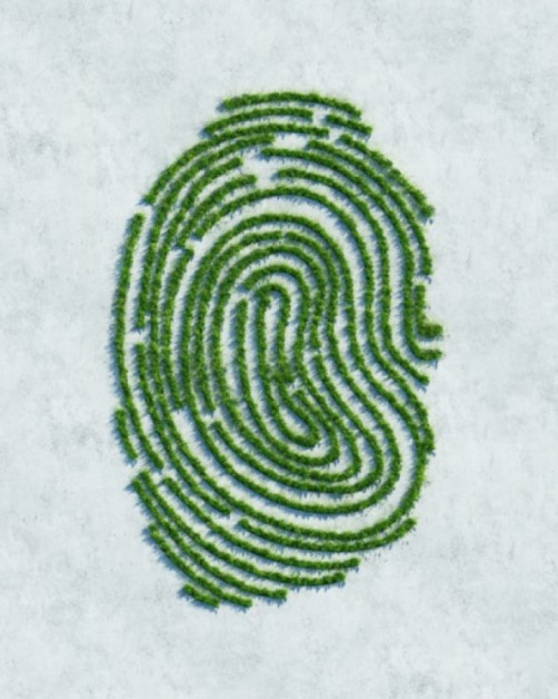 Digital generated image of fingerprint made out of grass growing through gray concrete surface.