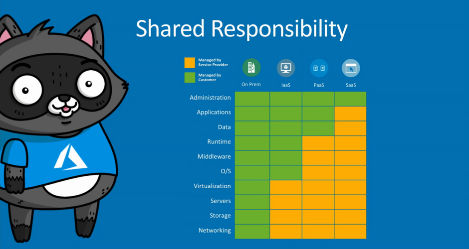 A graph showing which Shared Responsibility features are in different service options.