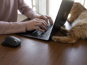 A man is using a Surface at home, with a cat in the background. The secure hybrid workplace allows employees to work from anywhere.