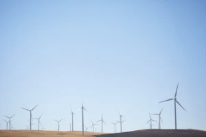 Wind farms will be key to help us reach net zero. A wind farm landscape.