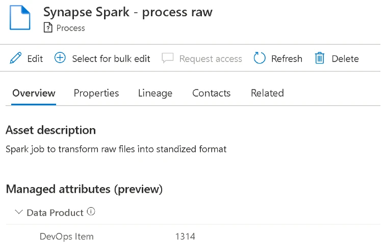 A screenshot of a Synapse Spark process with an appropriate asset description.