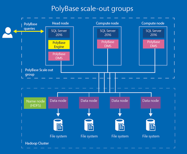 Polybase scale out groups