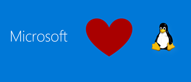 Microsoft Heart Pengiun