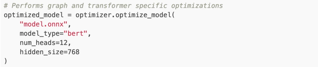 Code snippet that calls optimize_model function for graph and transformer specific optimizations