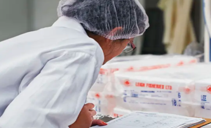 A worker wearing a protective hairnet checks a shipment of goods.